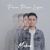 Album cover art for Pura Pura Lupa