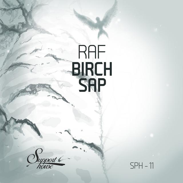 Album cover art for Birch Sap