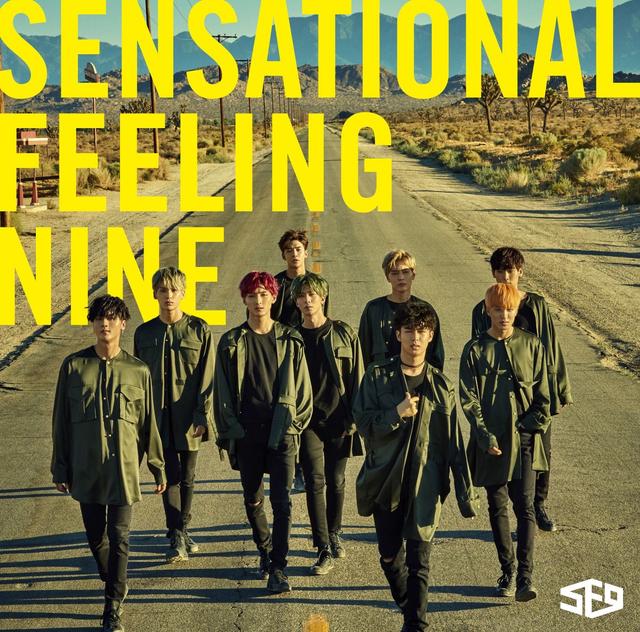 Album cover art for Sensational Feeling Nine