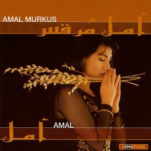 Album cover art for Amal