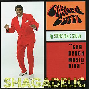 Album cover art for Shagadelic