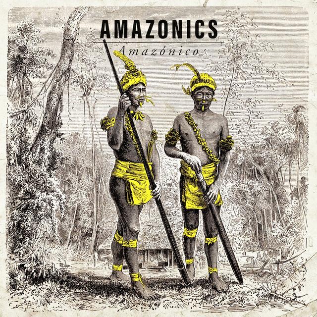 Album cover art for Amazónico