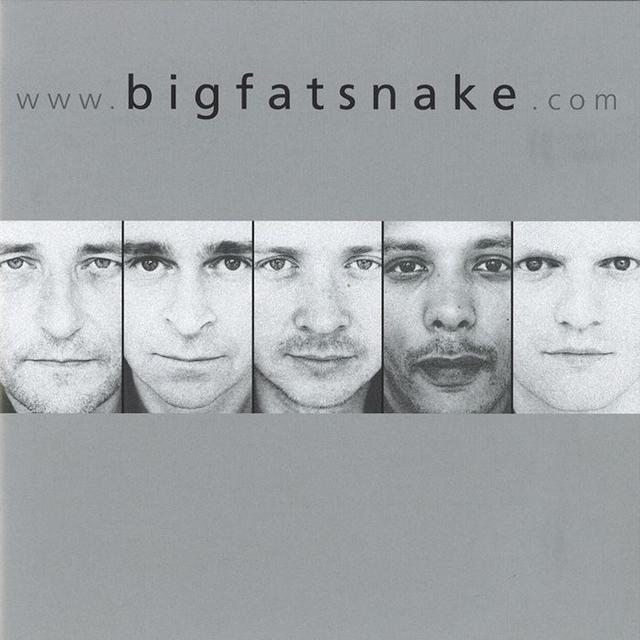 Album cover art for www.bigfatsnake.com