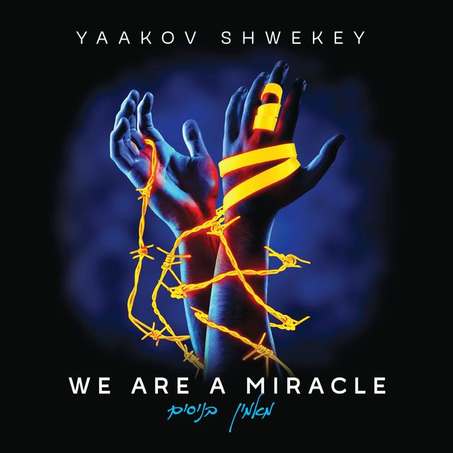 Album cover art for We Are a Miracle