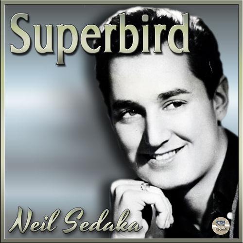 Album cover art for Superbird