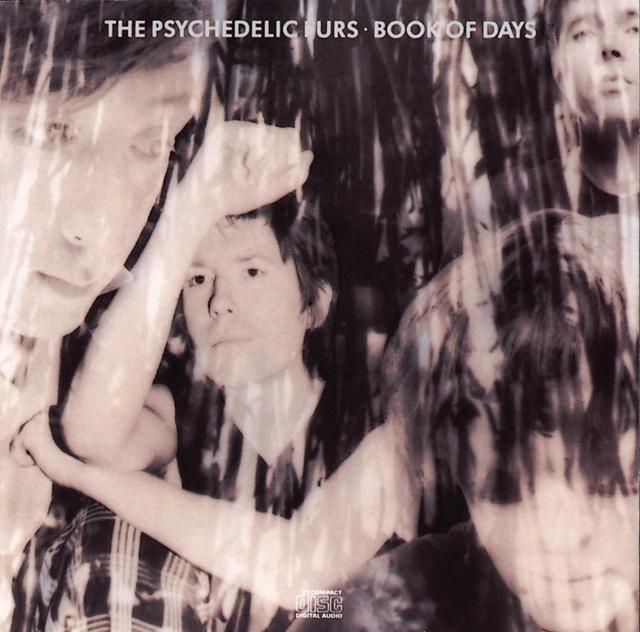 Album cover art for Book Of Days