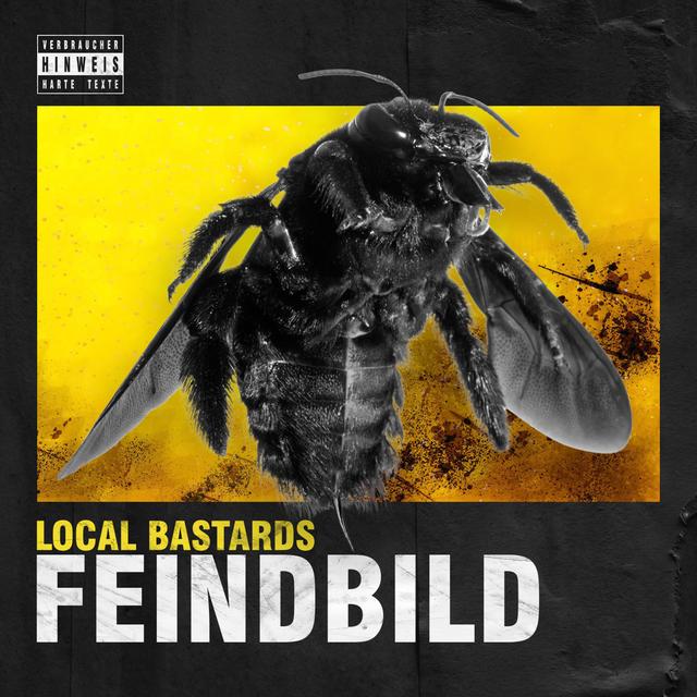 Album cover art for Feindbild