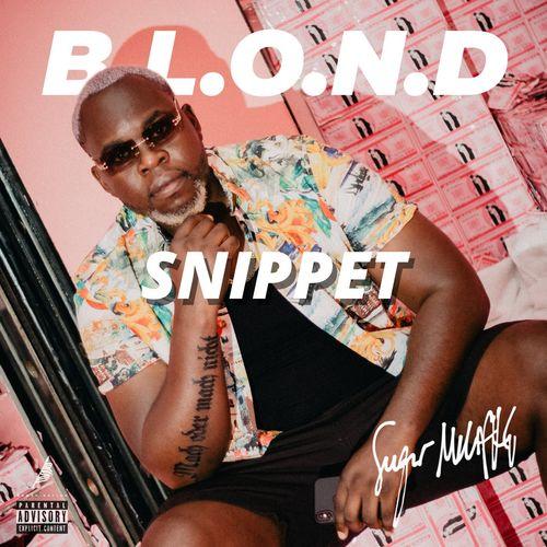 Album cover art for B.L.O.N.D