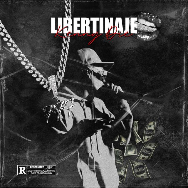 Album cover art for Libertinaje