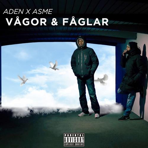 Album cover art for Vågor & Fåglar