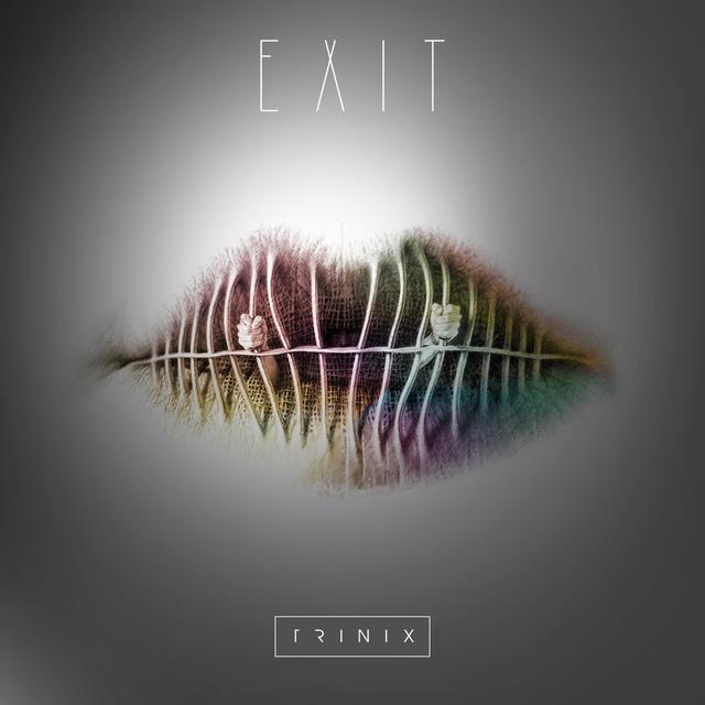 Album cover art for Exit