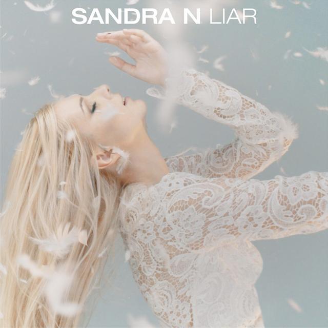 Album cover art for Liar