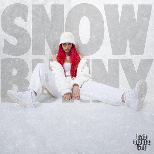 Album cover art for Snowbunny