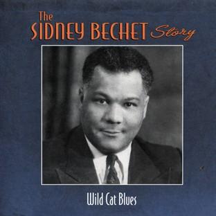 Album cover art for Wild Cat Blues