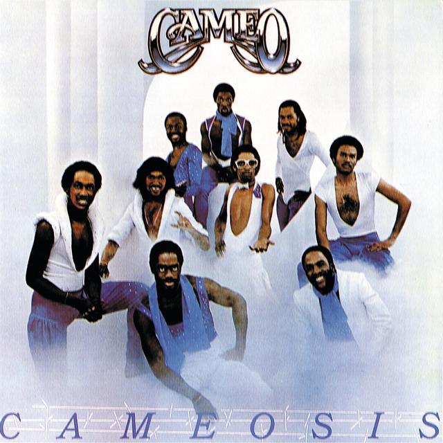 Album cover art for Cameosis