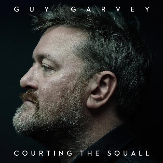 Album cover art for Courting The Squall