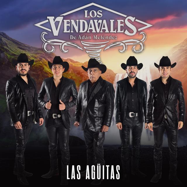 Album cover art for Las Agüitas