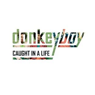 Album cover art for Caught In A Life