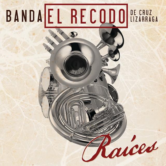 Album cover art for Raíces