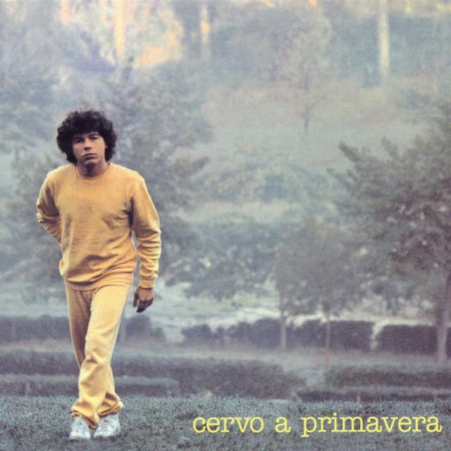 Album cover art for Cervo a Primavera