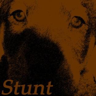 Album cover art for Stunt