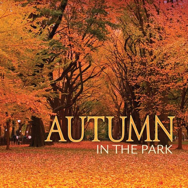 Album cover art for Autumn In The Park