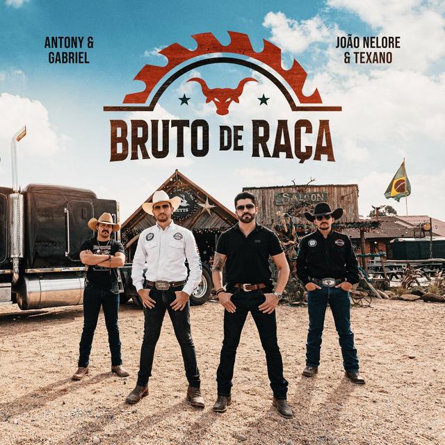 Album cover art for Bruto de Raça