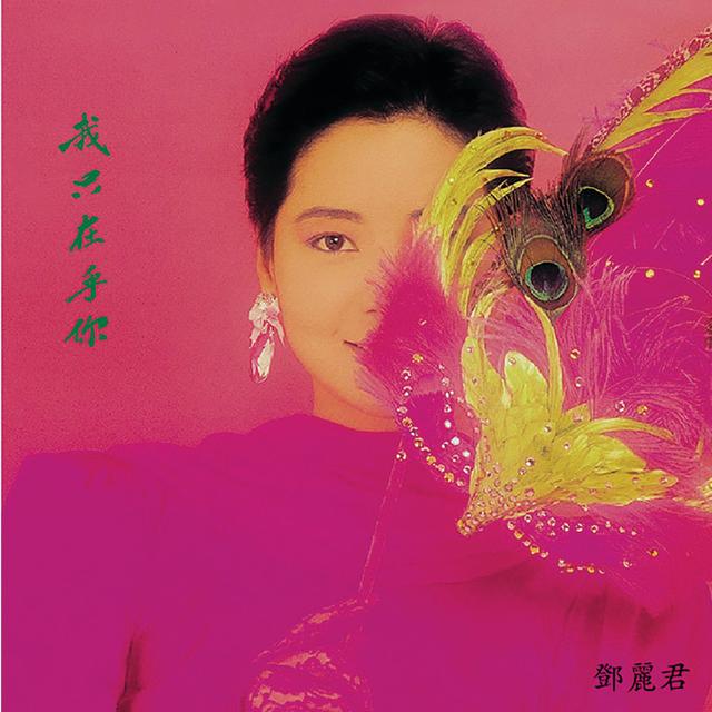 Album cover art for 我只在乎你