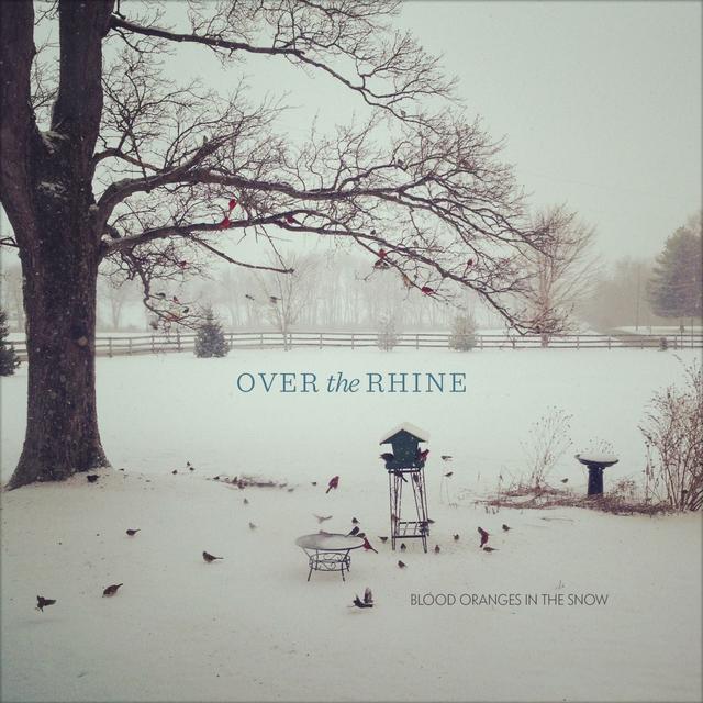 Album cover art for Blood Oranges In The Snow