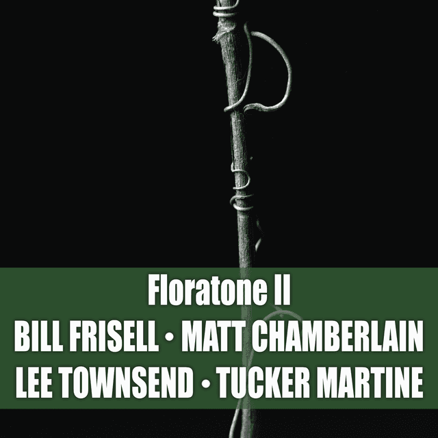 Album cover art for Floratone II