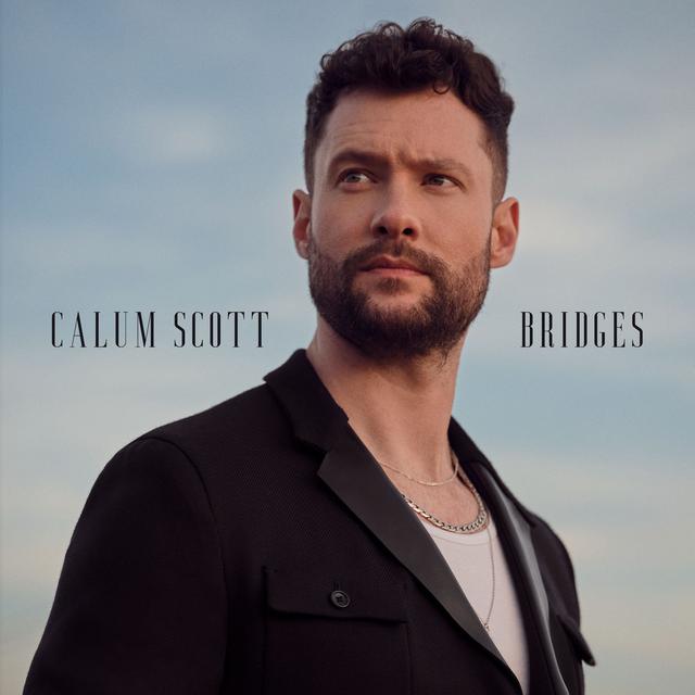 Album cover art for Bridges