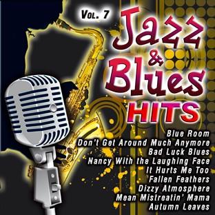 Album cover art for Jazz & Blues Hits Vol. 7