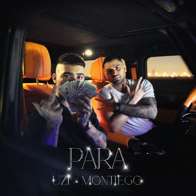 Album cover art for PARA