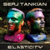 Album cover art for Elasticity