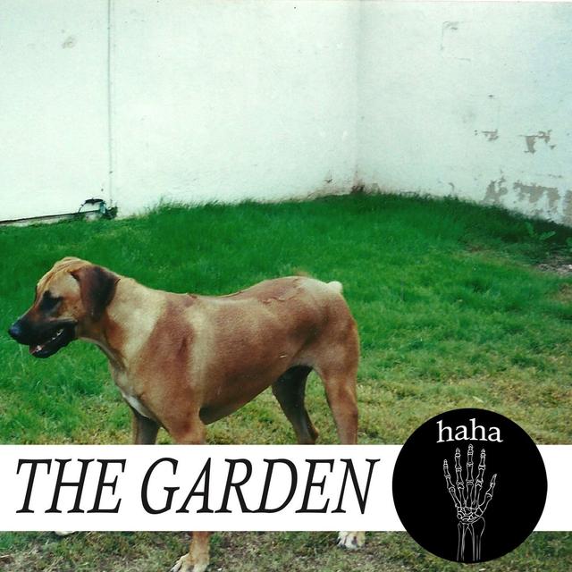 Album cover art for Haha