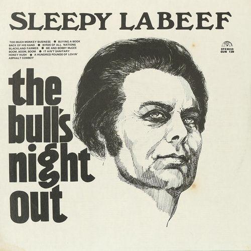 Album cover art for The Bull's Night Out