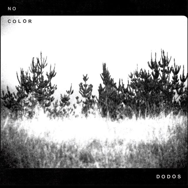 Album cover art for No Color