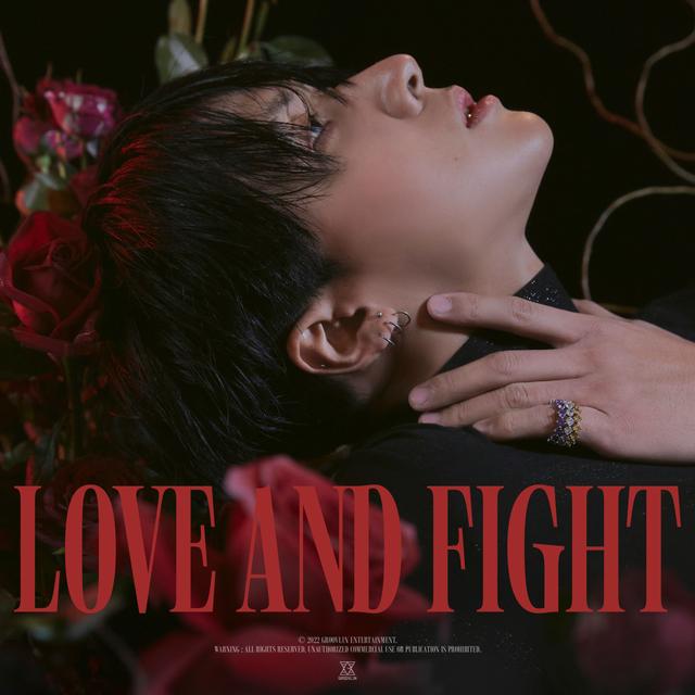 Album cover art for Love & Fight