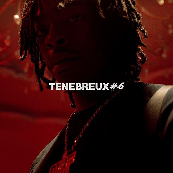 Album cover art for Ténébreux #6