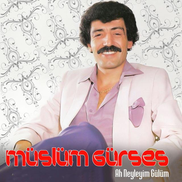 Album cover art for Ah Neyleyim Gülüm