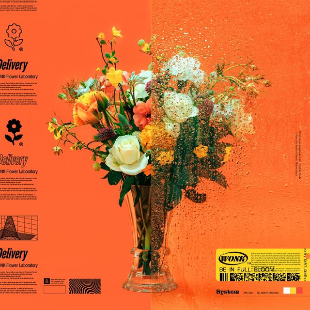 Album cover art for Flowers