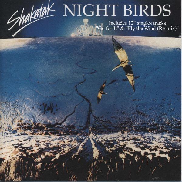 Album cover art for Night Birds