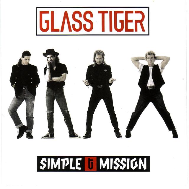 Album cover art for Simple Mission