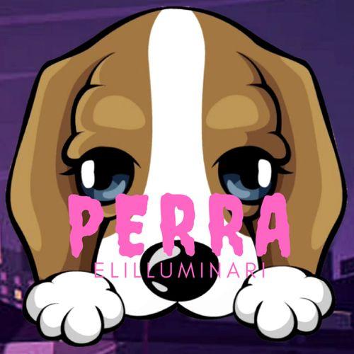 Album cover art for Perra