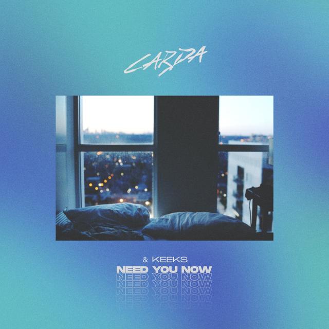 Album cover art for Need You Now