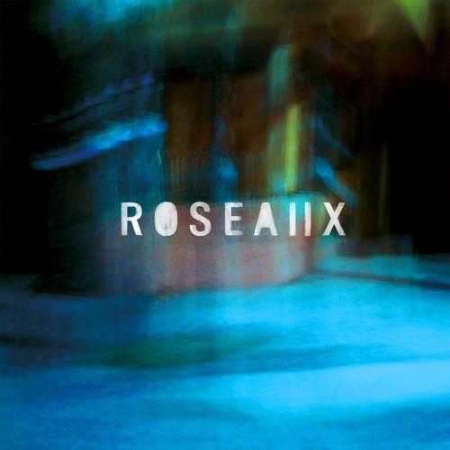 Album cover art for Roseaux II