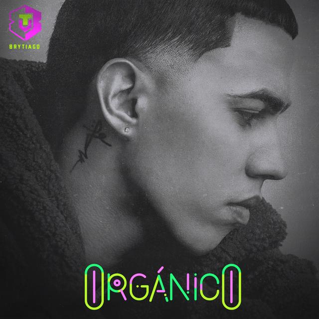 Album cover art for Orgánico