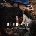 Album cover art for Bird Box