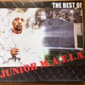 Album cover art for The Best of Junior M.A.F.I.A.