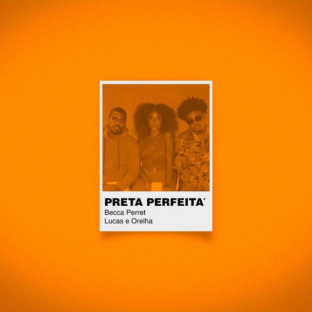 Album cover art for Preta Perfeita